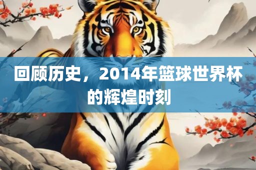 回顾历史，2014年篮球世界杯的辉煌时刻