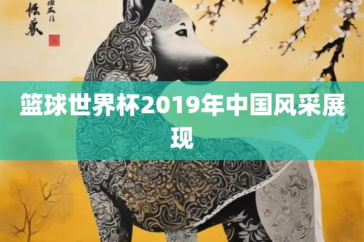 篮球世界杯2019年中国风采展现
