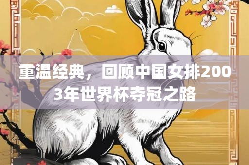 重温经典，回顾中国女排2003年世界杯夺冠之路