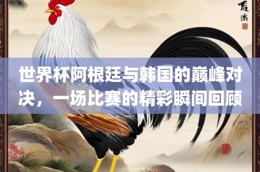 世界杯阿根廷与韩国的巅峰对决，一场比赛的精彩瞬间回顾吉安市靖泰电力工程有限公司