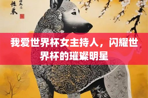 我爱世界杯女主持人，闪耀世界杯的璀璨明星