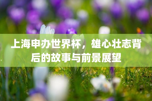 上海申办世界杯，雄心壮志背后的故事与前景展望