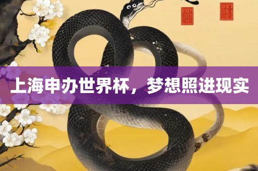 上海申办世界杯，梦想照进现实