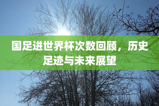 yibo 第2页