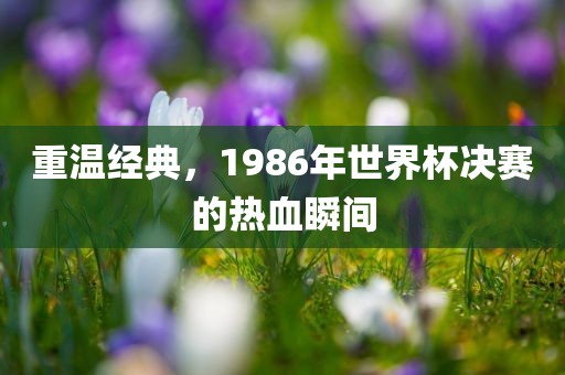重温经典，1986吉安市靖泰电力工程有限公司年世界杯决赛的热血瞬间