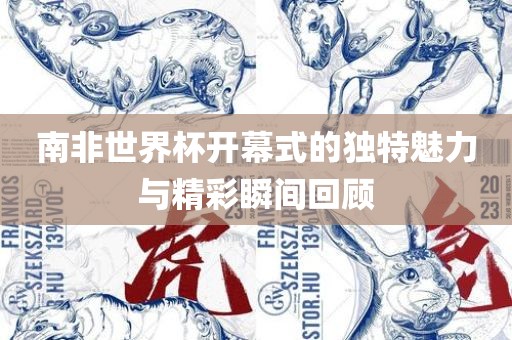 南非世界杯开幕式的独特魅力与精彩瞬间回顾