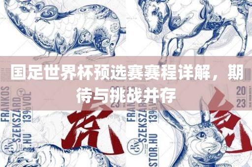 国足世界杯预选赛赛程详解，期待与挑战并存吉安市靖泰电力工程有限公司