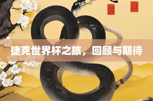 捷克世界杯之旅，回顾与期待吉安市靖泰电力工程有限公司