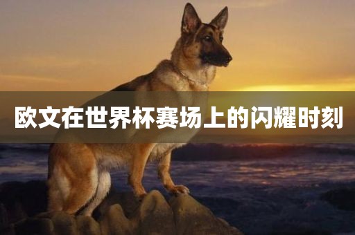 欧文在世界杯赛场上的闪耀时刻
