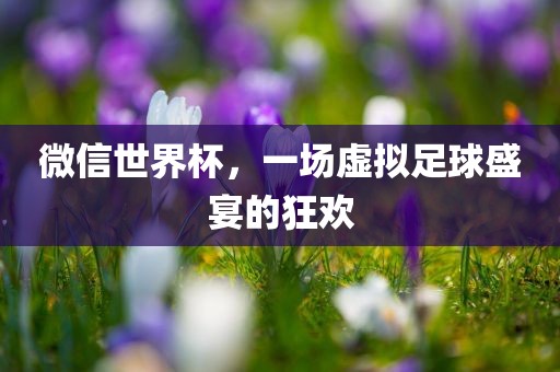 微信世界杯，一场虚拟足球盛宴的狂欢