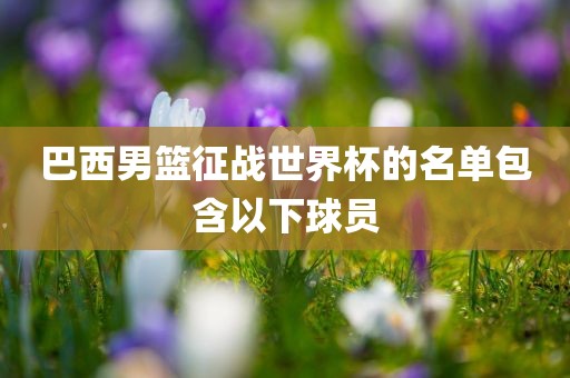 巴西男篮征战世界杯吉安市靖泰电力工程有限公司的名单包含以下球员