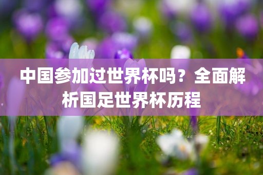 中国参加过世界杯吗？全面解析国足世界杯历程