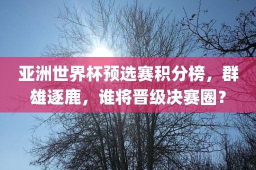 亚洲世界杯预选赛积分榜，群雄逐鹿，谁将晋级决赛圈？