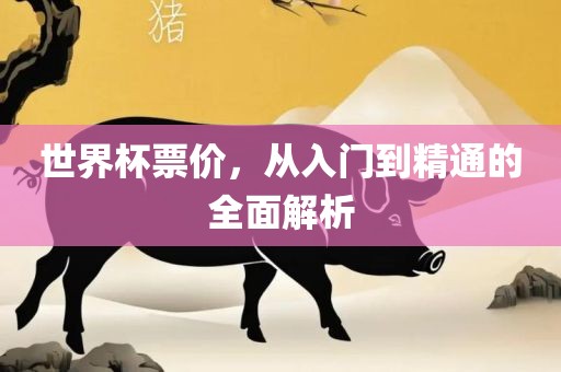 世界杯票价，从入门到精通的全面解析