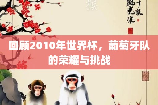 回顾2010年世界杯，葡萄牙队的荣耀与挑战吉安市靖泰电力工程有限公司
