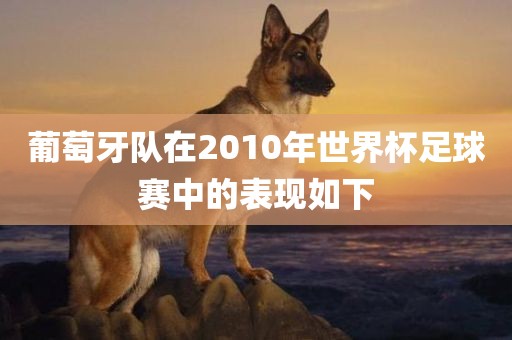 葡萄牙队在2010年世界杯足球赛中的表现如下吉安市靖泰电力工程有限公司