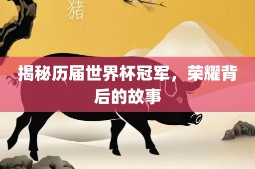 揭秘历届世界杯冠军，荣耀背后的故事吉安市靖泰电力工程有限公司