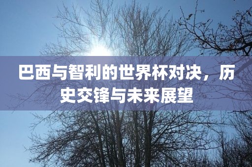 巴西与智利的世界杯对决，历史交锋与未来展望吉安市靖泰电力工程有限公司