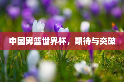 中国男篮世界杯，期待与突破