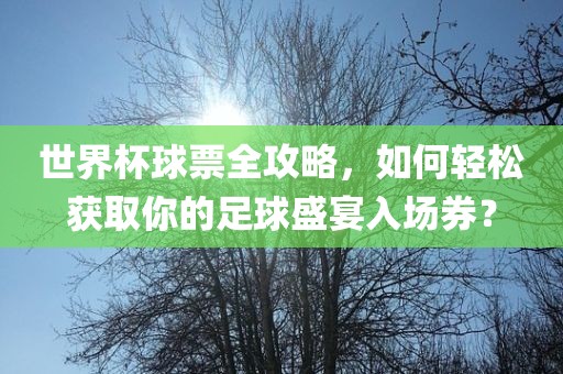 世界杯球票全攻略，如何轻松获取你的足球盛宴入场券？