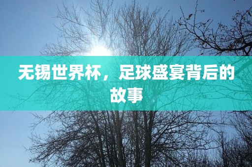 无锡世界杯，足球盛宴背后的故事