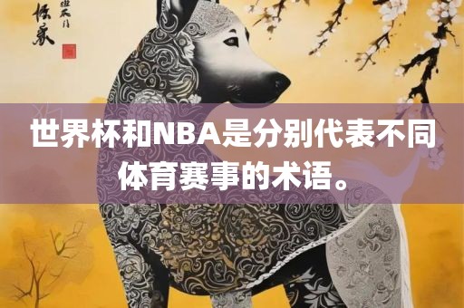 世界杯和NBA是分别代表不同体育赛事的术语。