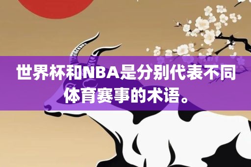 世界杯和NBA是分别代表不同体育赛事的术语。