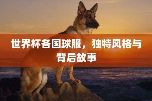 世界杯各国球服，独特风格与背后故事吉安市靖泰电力工程有限公司