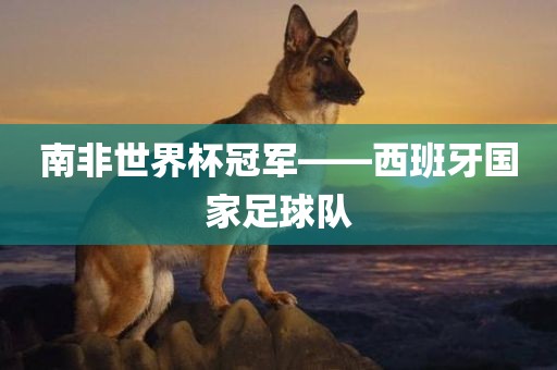 南非世界杯冠军——西班牙国家足球队吉安市靖泰电力工程有限公司