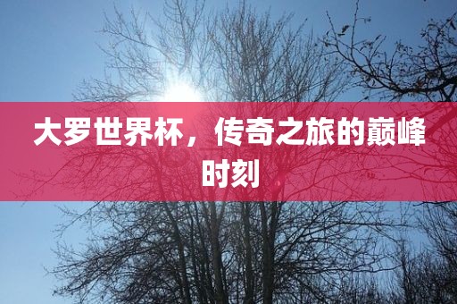 大罗世界杯，传奇之旅的巅峰时刻吉安市靖泰电力工程有限公司
