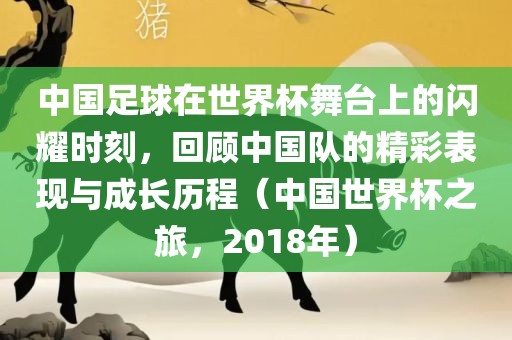 中国足球在世界杯舞台上的闪耀时刻，回顾中国队的精彩表现与成长历程（中国世界杯之旅，2018年）吉安市靖泰电力工程有限公司