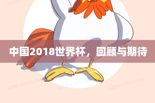吉安市靖泰电力工程有限公司中国2018世界杯，回顾与期待