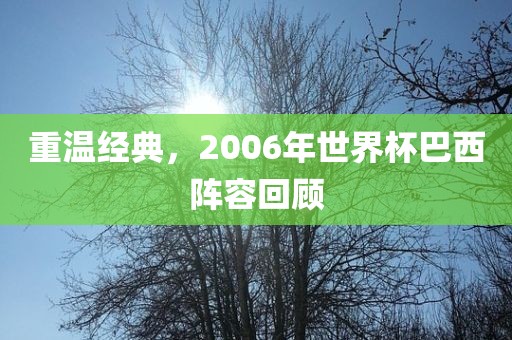 重温经典，2006年世界杯巴西阵容回顾