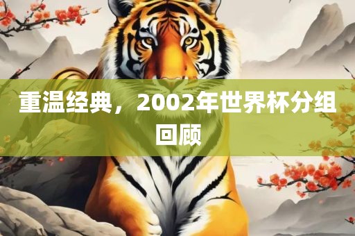 重温经典，2002年世界杯分组回顾