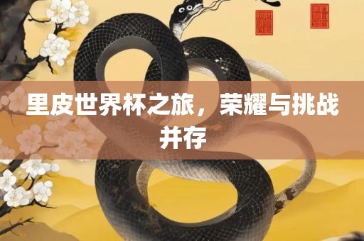 里皮世界杯之旅，荣耀与挑战并存吉安市靖泰电力工程有限公司