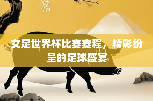 女足世界杯比赛赛程，精彩纷呈的足球盛宴吉安市靖泰电力工程有限公司