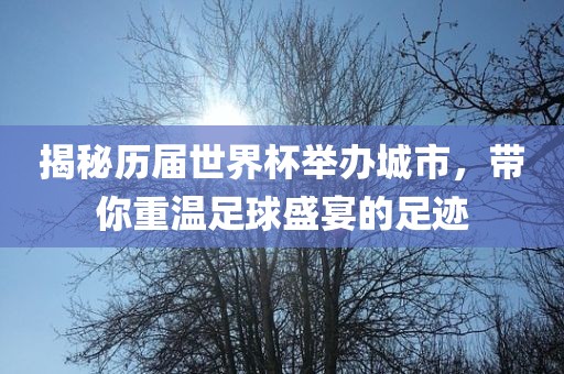 揭秘历届世界杯举办城市，带你重温足球盛宴的足迹吉安市靖泰电力工程有限公司