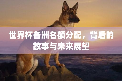 世界杯各洲名额分配，背后的故事与未来展望