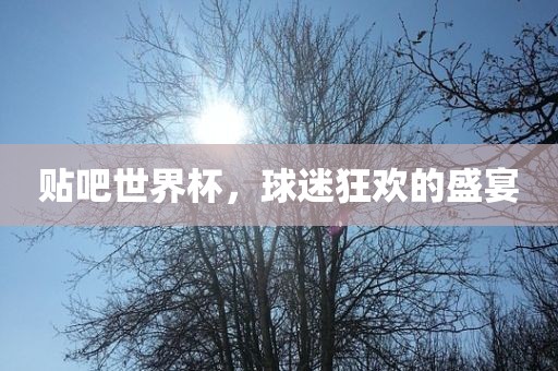 贴吧世界杯，球迷狂欢的盛宴