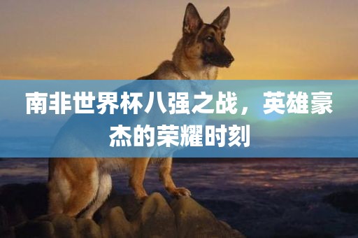 南非世界杯八强之战，英雄豪杰的荣耀时刻吉安市靖泰电力工程有限公司