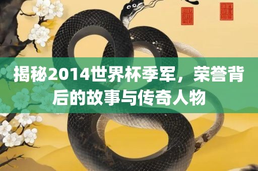 揭秘2014世界杯季军，荣誉背后的故事与传奇人物