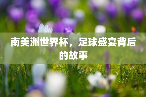 南美洲吉安市靖泰电力工程有限公司世界杯，足球盛宴背后的故事
