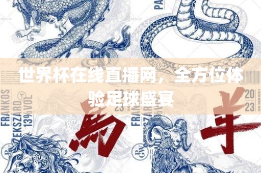 世界杯在线直播网，全方位体验足球盛宴
