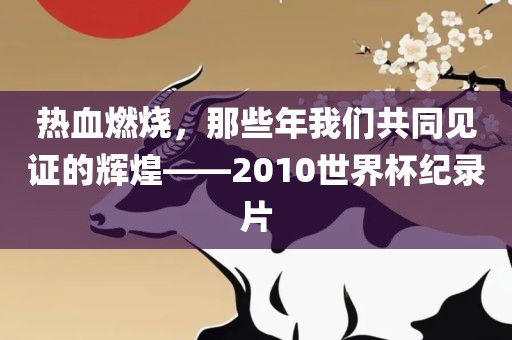 热血燃烧，那些年我们共同见证的辉煌——2010世界杯纪录片吉安市靖泰电力工程有限公司