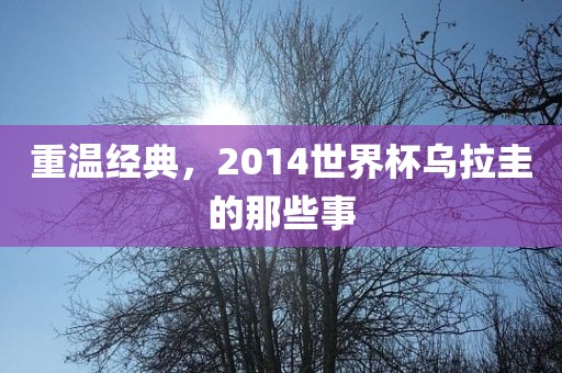 重温经典，2014世界杯乌拉圭的那些事