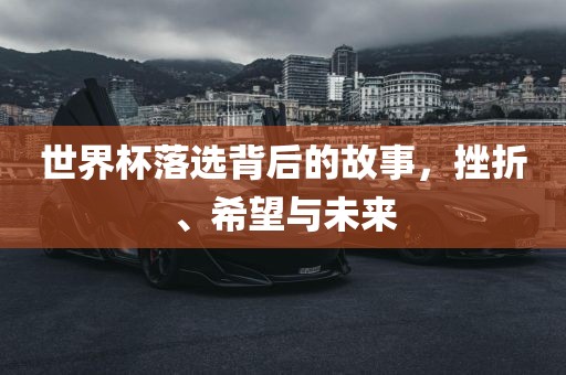 世界杯落选背后的故事，挫折、希望与未来吉安市靖泰电力工程有限公司