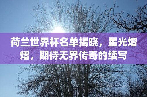 荷兰世界杯名单揭晓，星光熠熠，期待无界传奇的续写吉安市靖泰电力工程有限公司