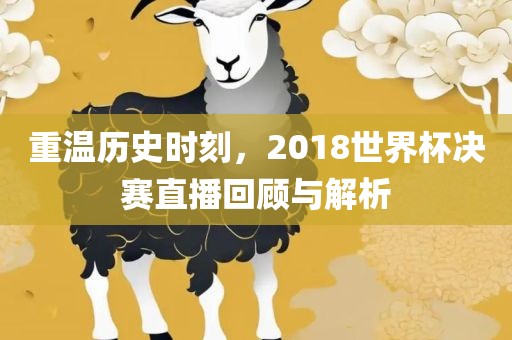 重温历史时刻，2018世界杯决赛直播回顾与解析吉安市靖泰电力工程有限公司