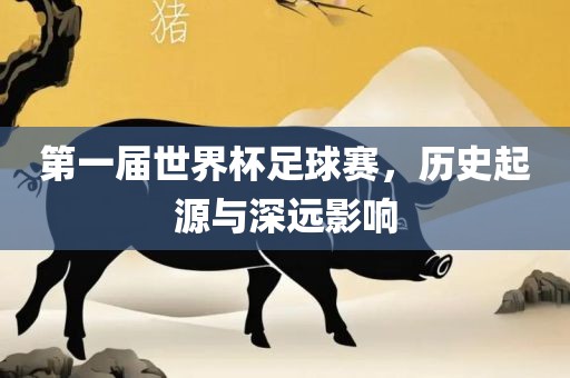 第吉安市靖泰电力工程有限公司一届世界杯足球赛，历史起源与深远影响