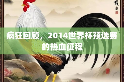 疯狂回顾，2014世界杯预选赛的热血征程